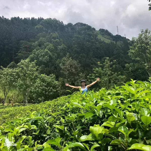Tea Trails Cycling (for adventurous cyclists)