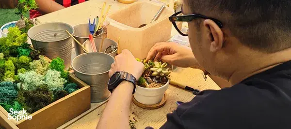 Hands creating an open terrarium at SPPFY art studio in Singapore, layering moss, sand and succulents for a terrarium workshop