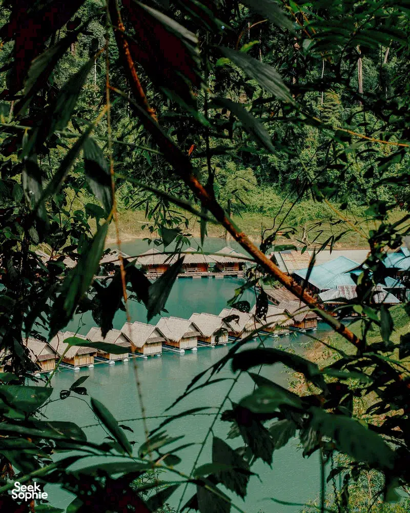 Seek Sophie option picture