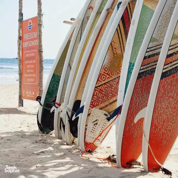 Freedom Surf Sri Lanka surfboards lined up on Weligama beach beside the surfschool sign for intermediate lessons