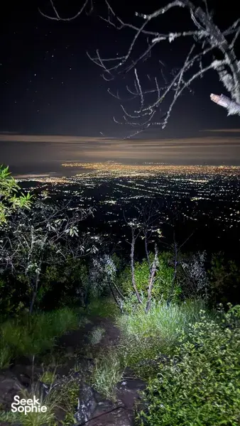 Night viewpoint over Bali with treetops and distant city lights, seen from a private Mount Agung sunrise trek