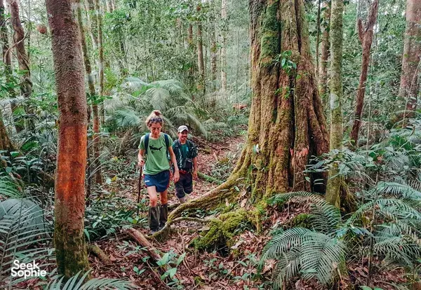 1 Day Kinabalu Foothills Jungle Trek + Dusun Village Lunch