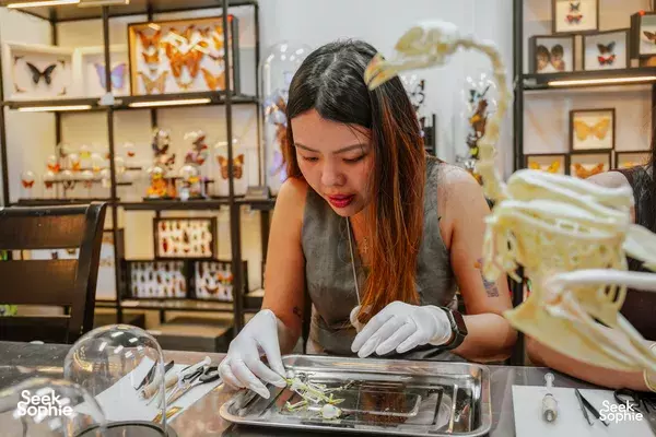 An Afternoon with a Taxidermist | Assemble an Animal Skeleton! 
