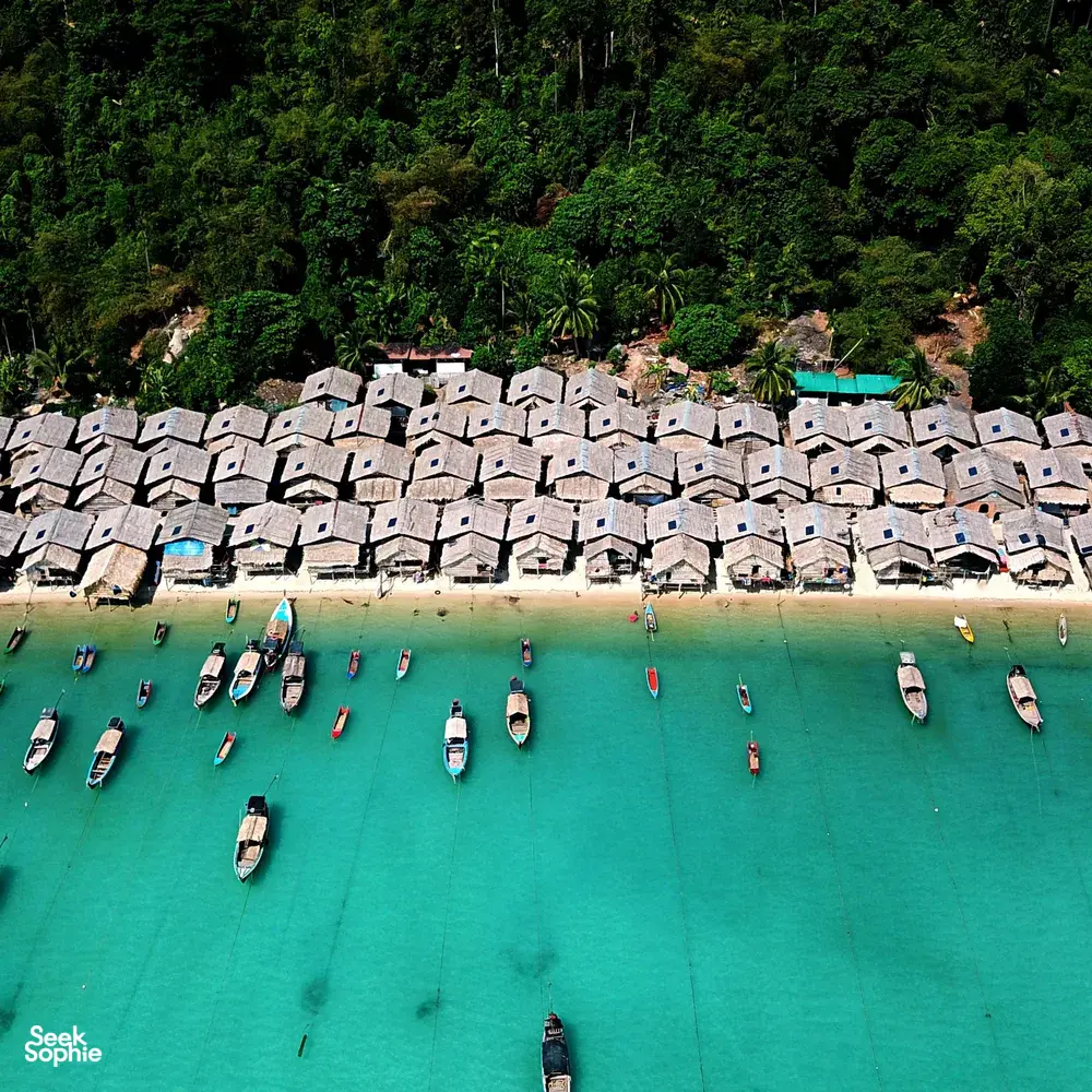 Seek Sophie option picture