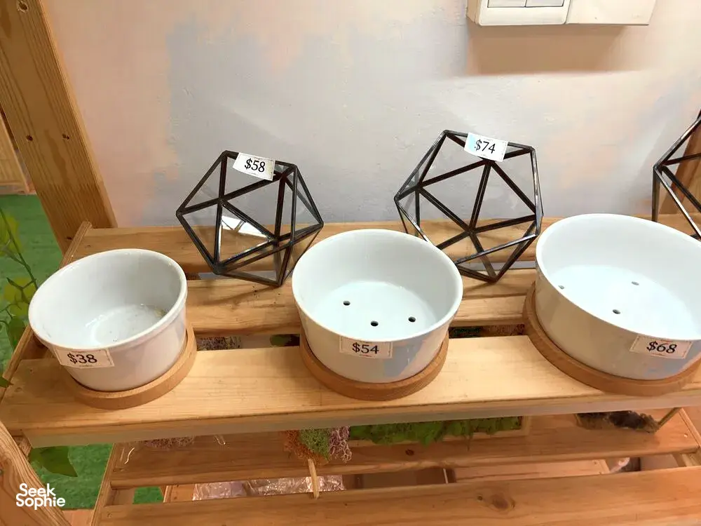 Seek Sophie option picture