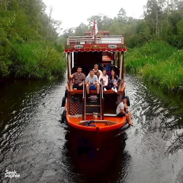 Seek Sophie option picture