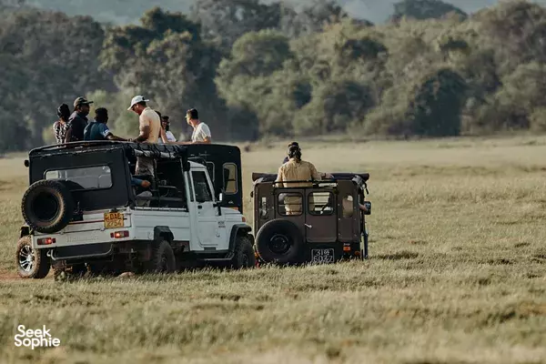 3H Sunset Safari at Kaudulla National Park