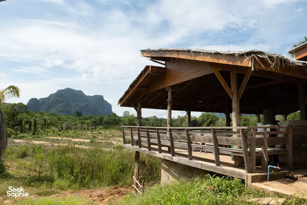 Seek Sophie option picture