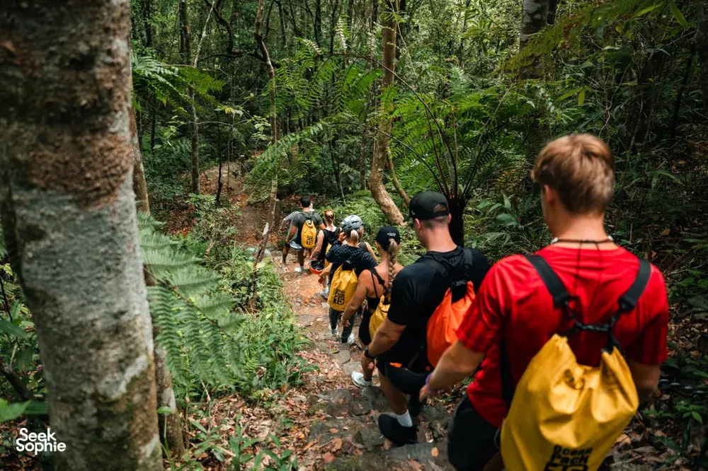 Seek Sophie option picture