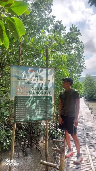 Laluan pejalan kaki bakau di Labuan Bajo dalam lawatan bersama hos, dengan seorang pengembara berdiri di sebelah papan tanda tentang ekosistem