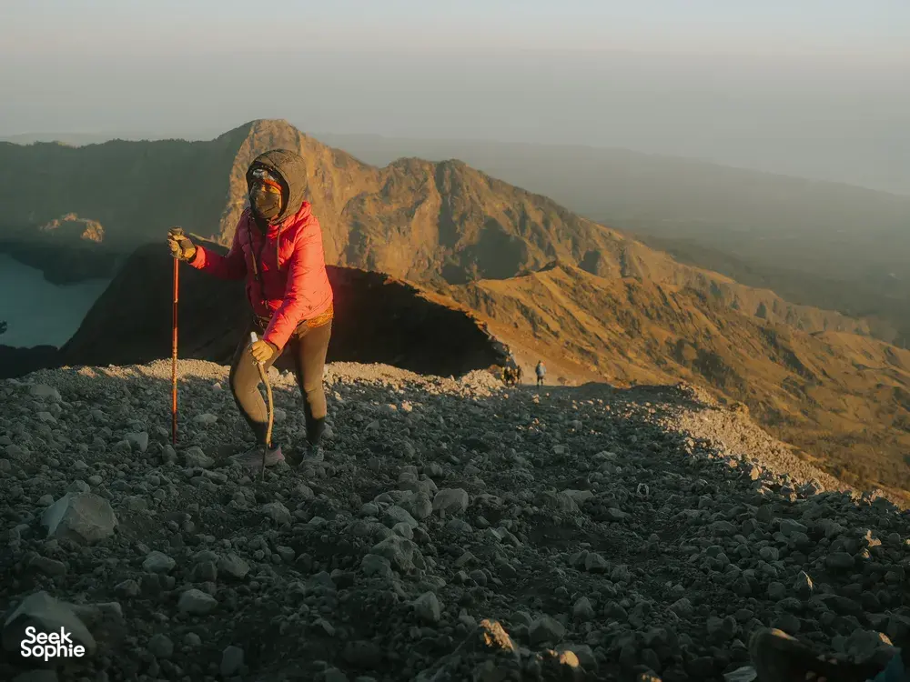 Seek Sophie option picture