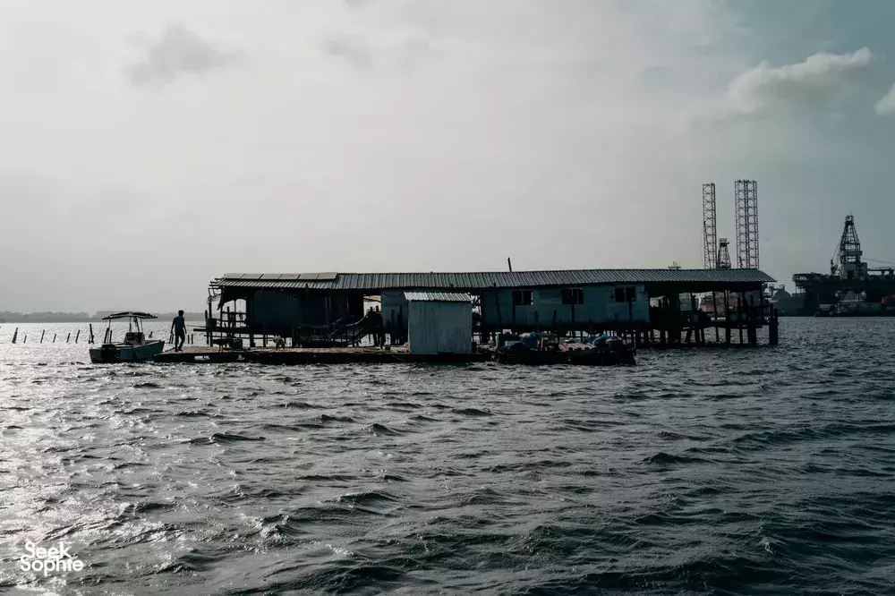 Seek Sophie option picture