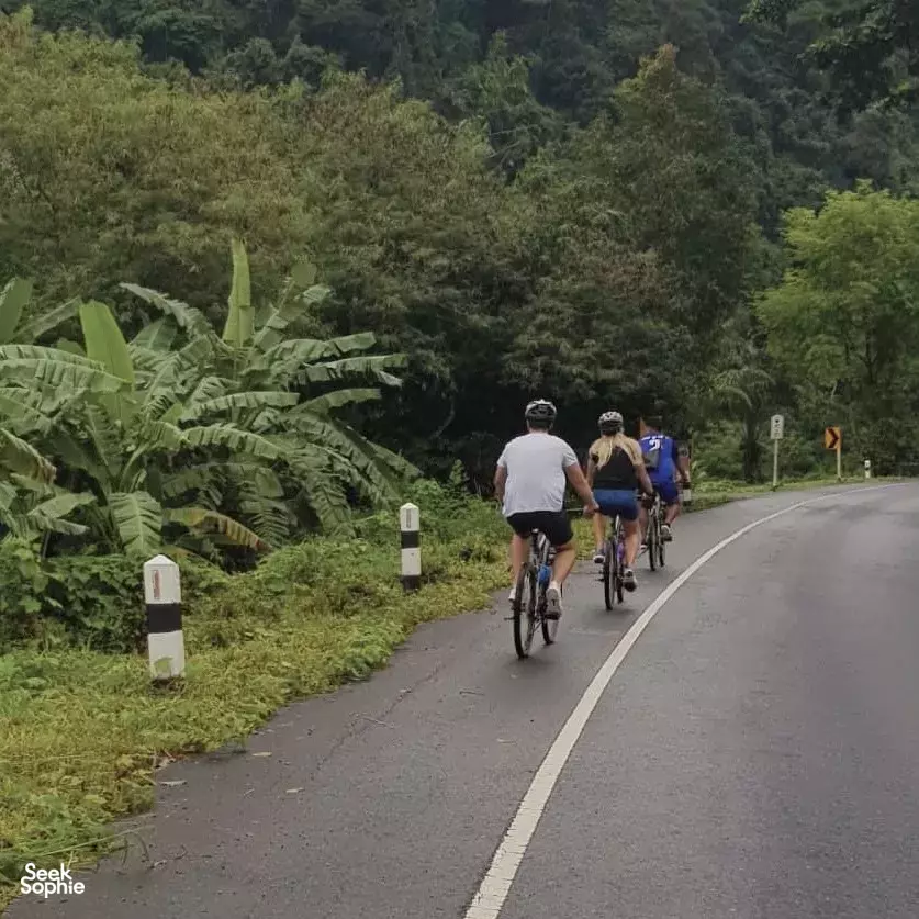 Group cyclists riding along a quiet country road through greenery on a bike tour in Khao Sok National Park