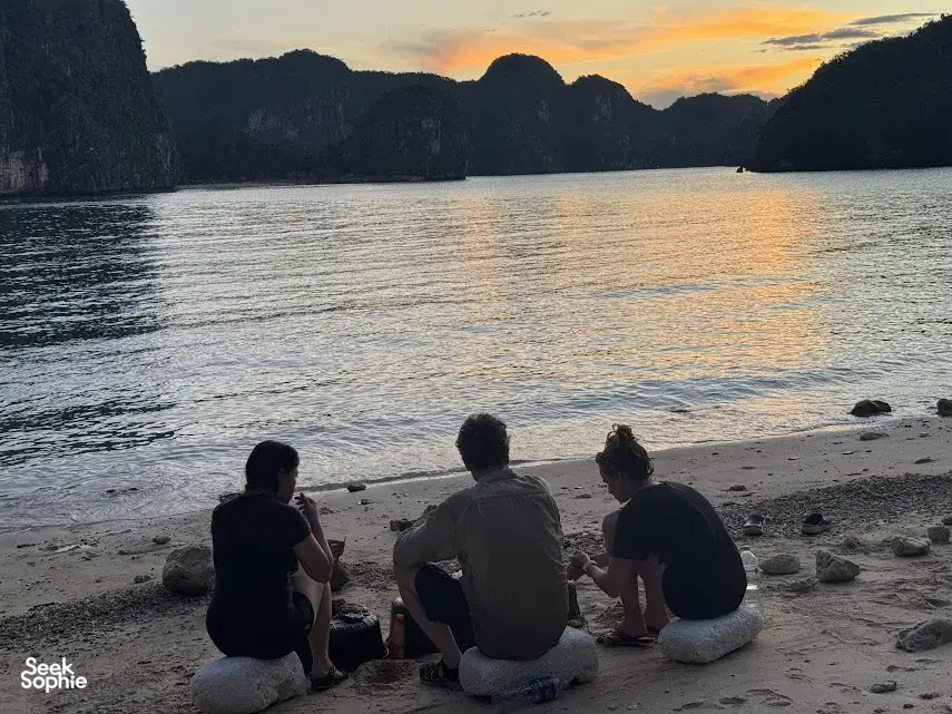 Seek Sophie option picture