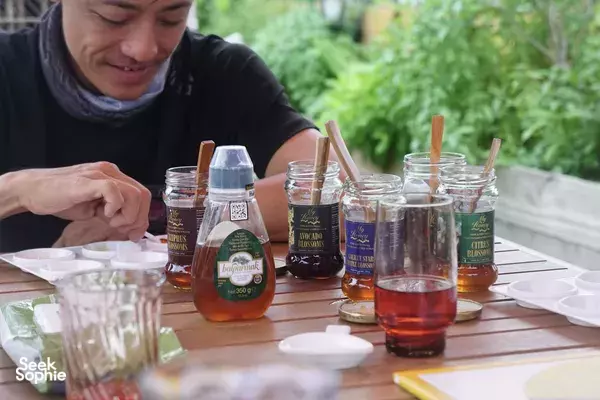 Private Urban Farm Experience, inc Bee Encounter