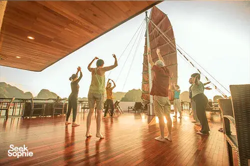 Seek Sophie option picture