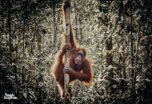 The Best Trips in June to August