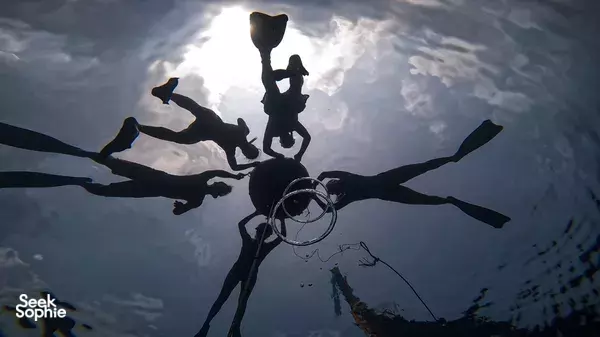 2日自由潜水课程|适合新手的顶级教练带你入门