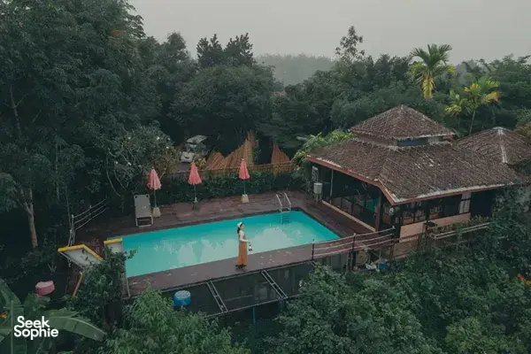Aerial view of Khaosok Discovery glamping pool among lush trees and rustic bungalows, surrounded by Khao Sok National Park