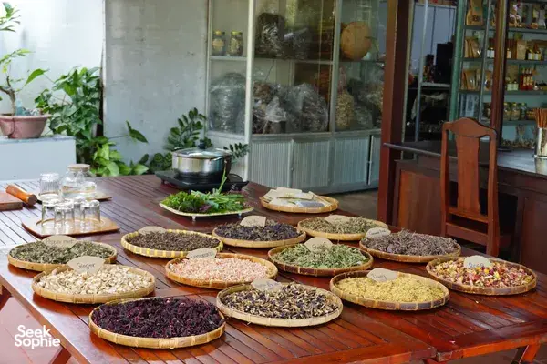 Discover the Healing Magic of Plants with Seasoned Herbalist