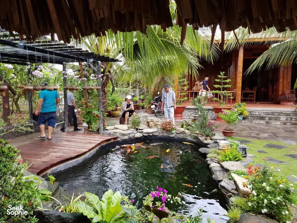 Seek Sophie option picture