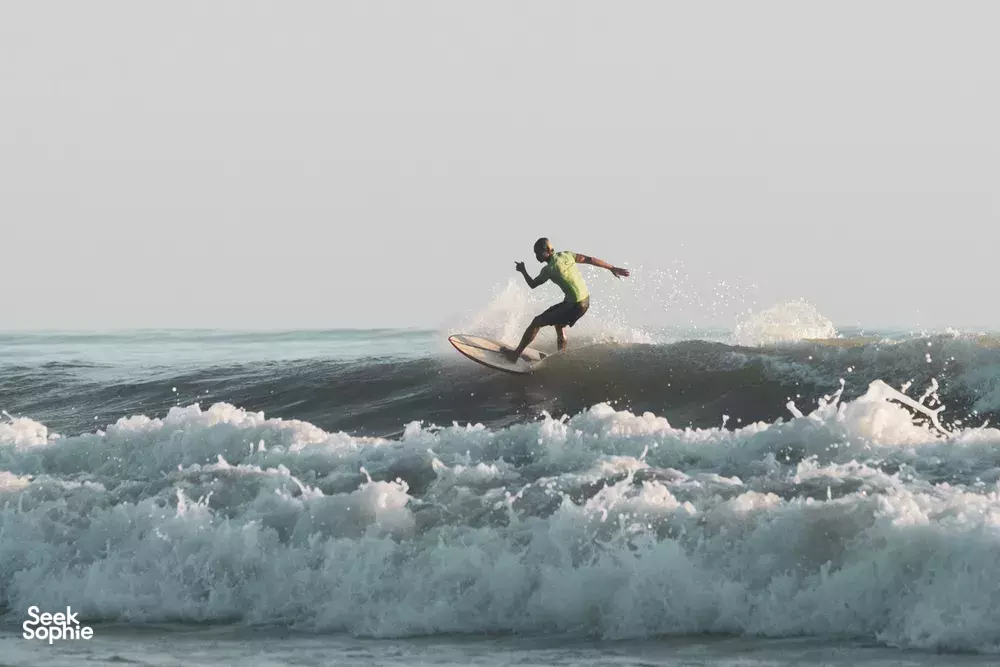 Seek Sophie option picture