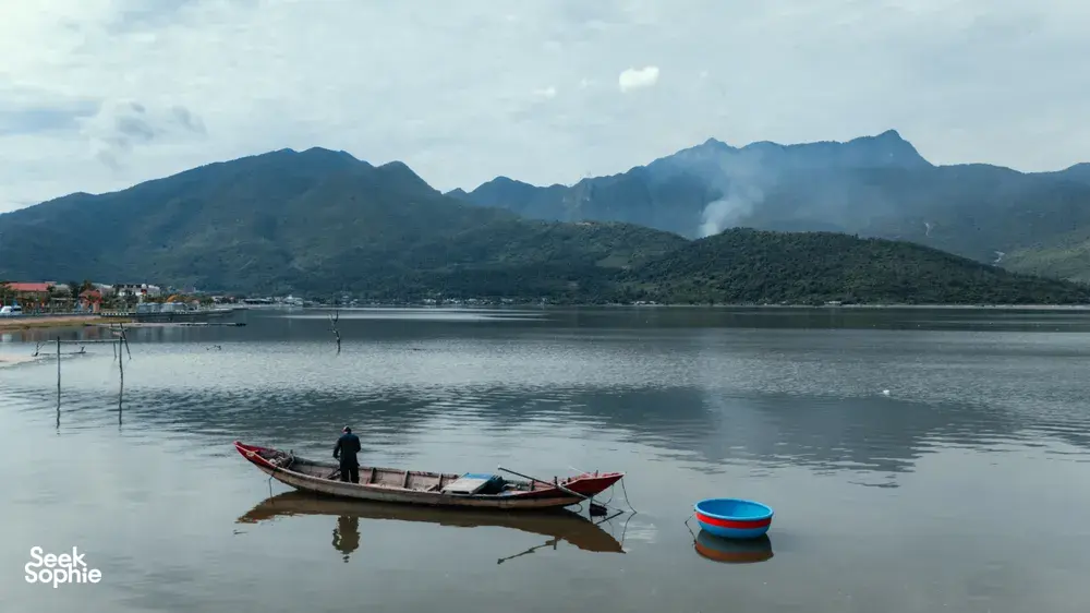 Seek Sophie option picture