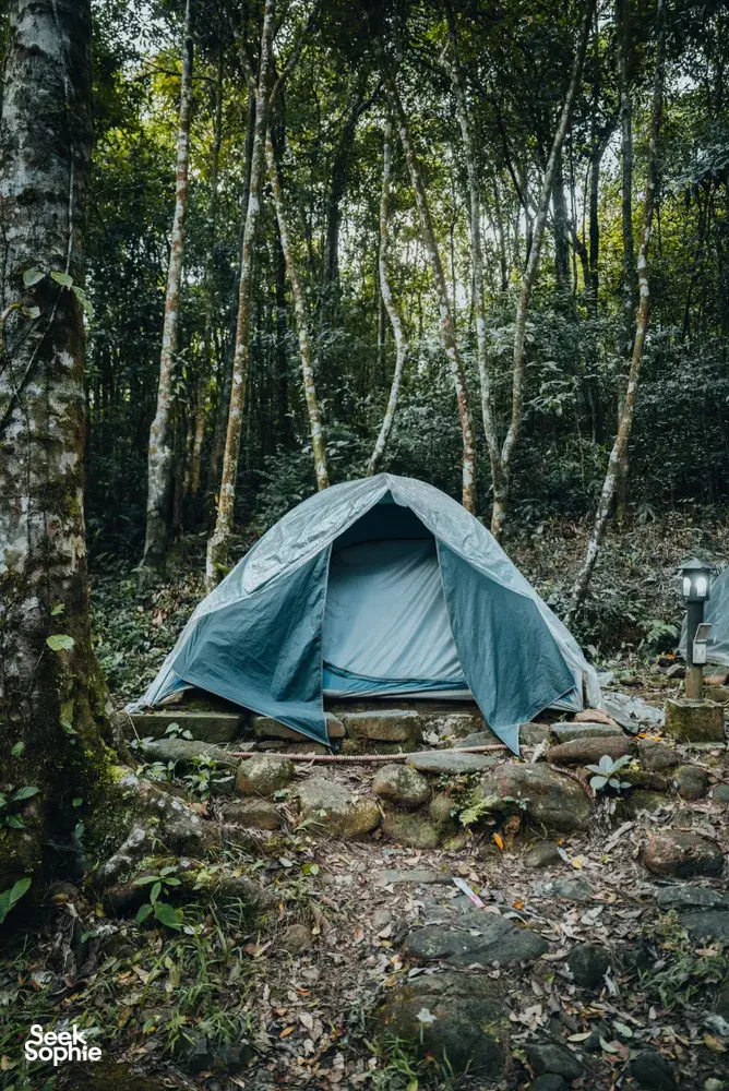 Seek Sophie option picture