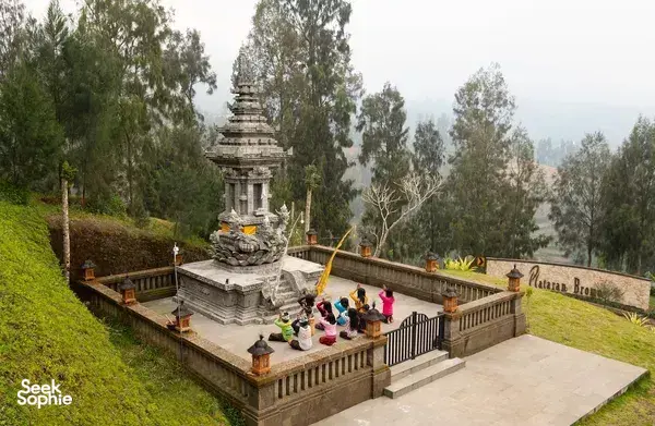 Seek Sophie option picture