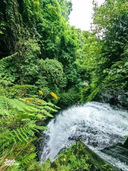 Asri Canyon | Discover an Adventure in Paradise