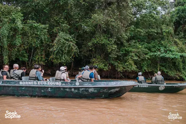 People on covered river boats watching the mangrove-lined shore during a safari trip near Sandakan on Kinabatangan River