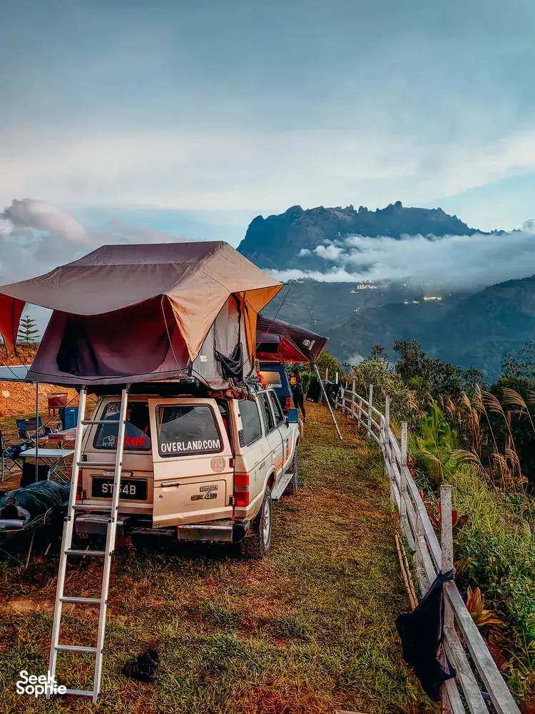 Seek Sophie option picture