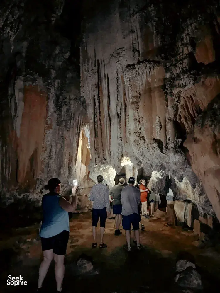 Seek Sophie option picture