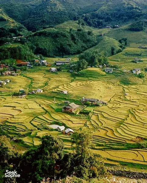 2合1终极沙坝冒险：远足粉色山和沙坝稻田徒步之旅