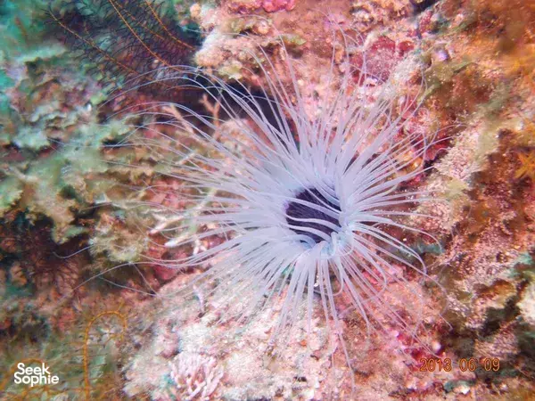 3D2N PADI Open Water Course **with accommodation