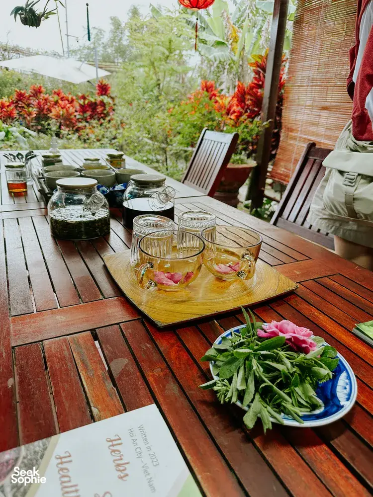 Seek Sophie option picture