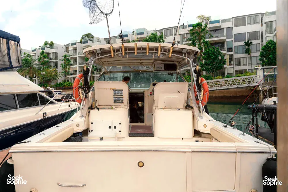 Seek Sophie option picture