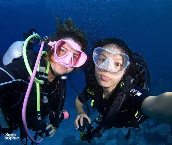 从考拉出发潜水游:Koh Bon & Koh Tachai 一日双潜体验