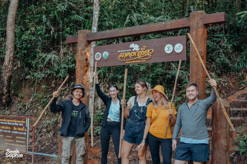 Seek Sophie option picture