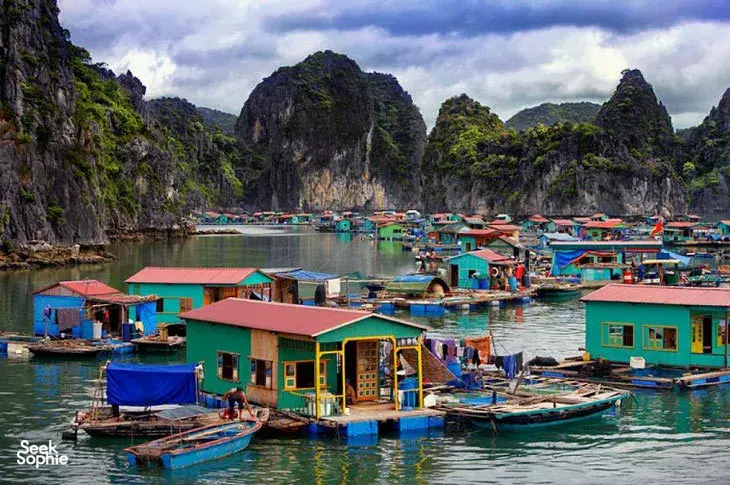 Brightly coloured houseboats and boats in Cat Ba harbour with looming limestone cliffs, on a 3D2N Cat Ba cruise