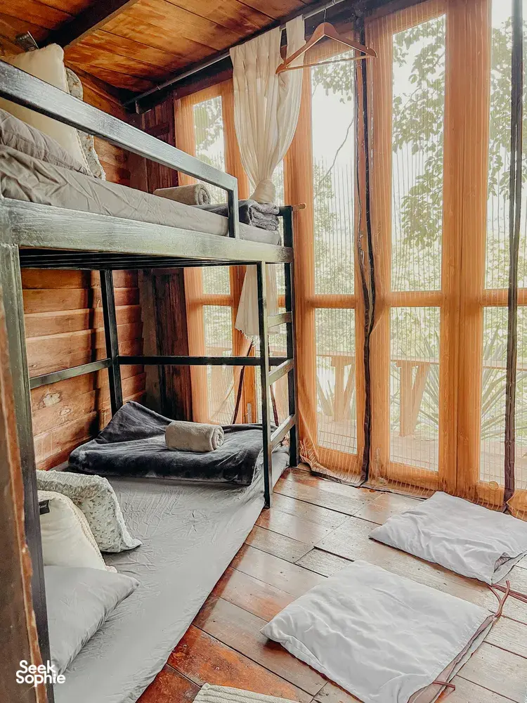 Seek Sophie option picture