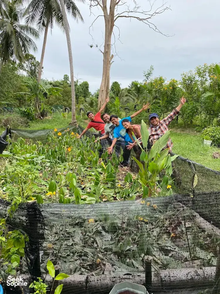 Guests at Kebun Lidstari in Langkawi explore a permaculture vegetable plot, standing among raised beds and lush garden greenery