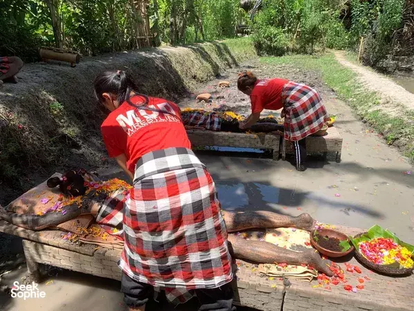 Coffee, Mud, & Joy: Your Bali Wellness Escape