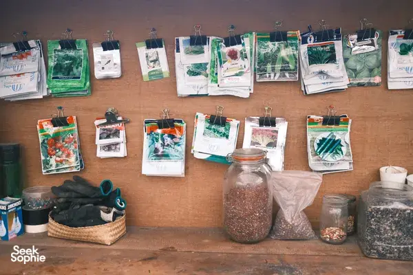 Lombok Farm Discovery | Learn about Permaculture & it's Impact