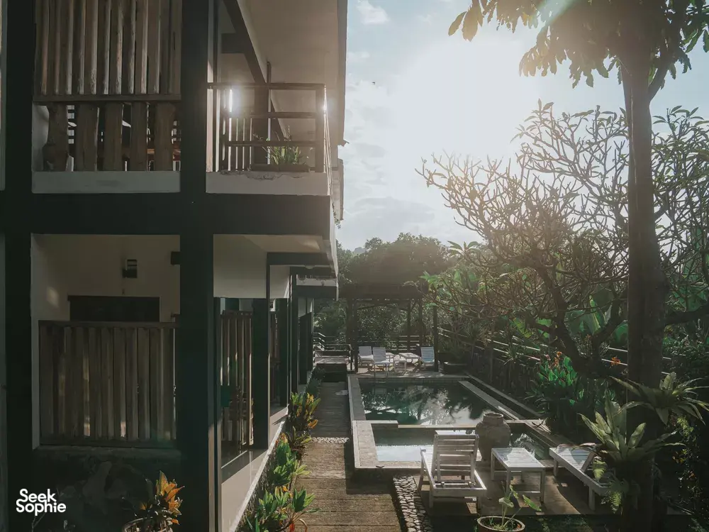 Seek Sophie option picture