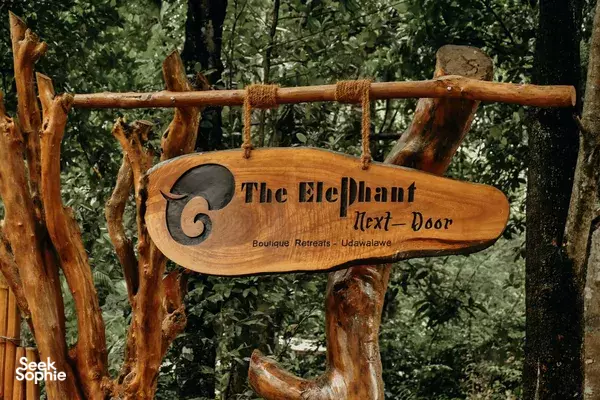 Wooden sign reading “The Elephant Next Door” among trees at Udawalawe, marking the host’s garden entrance