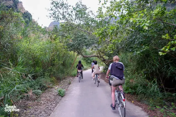 Group cycling along a narrow paved lane through lush shrubs and limestone hills in Cat Ba, heading into the countryside