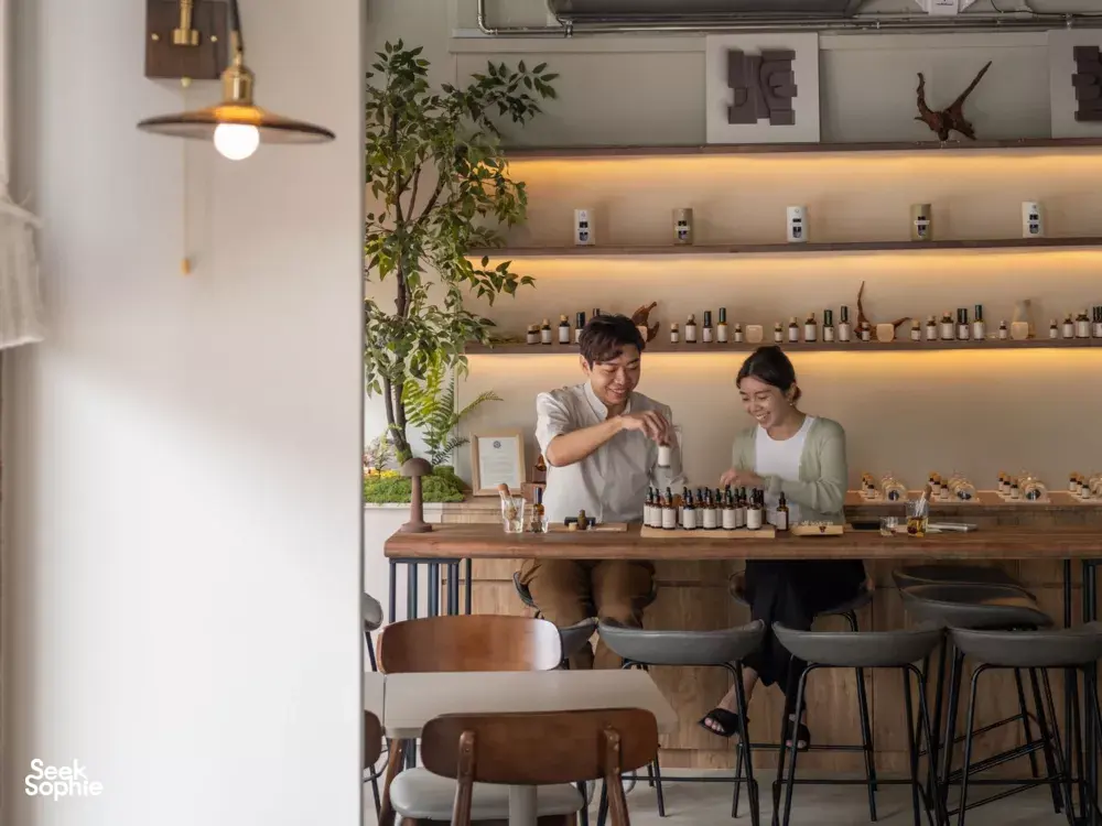 Seek Sophie option picture