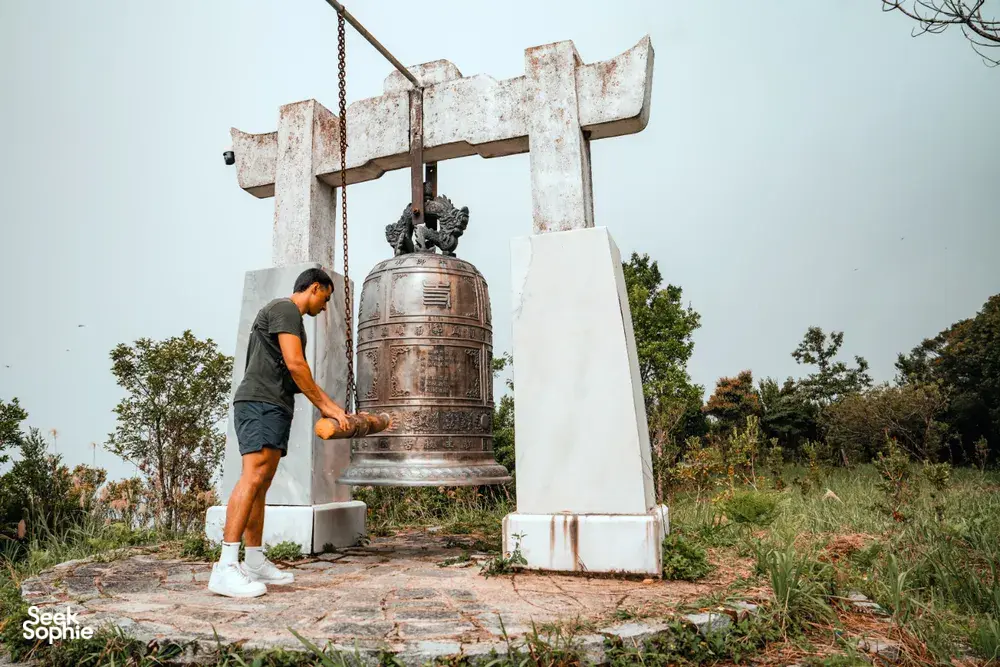 Seek Sophie option picture