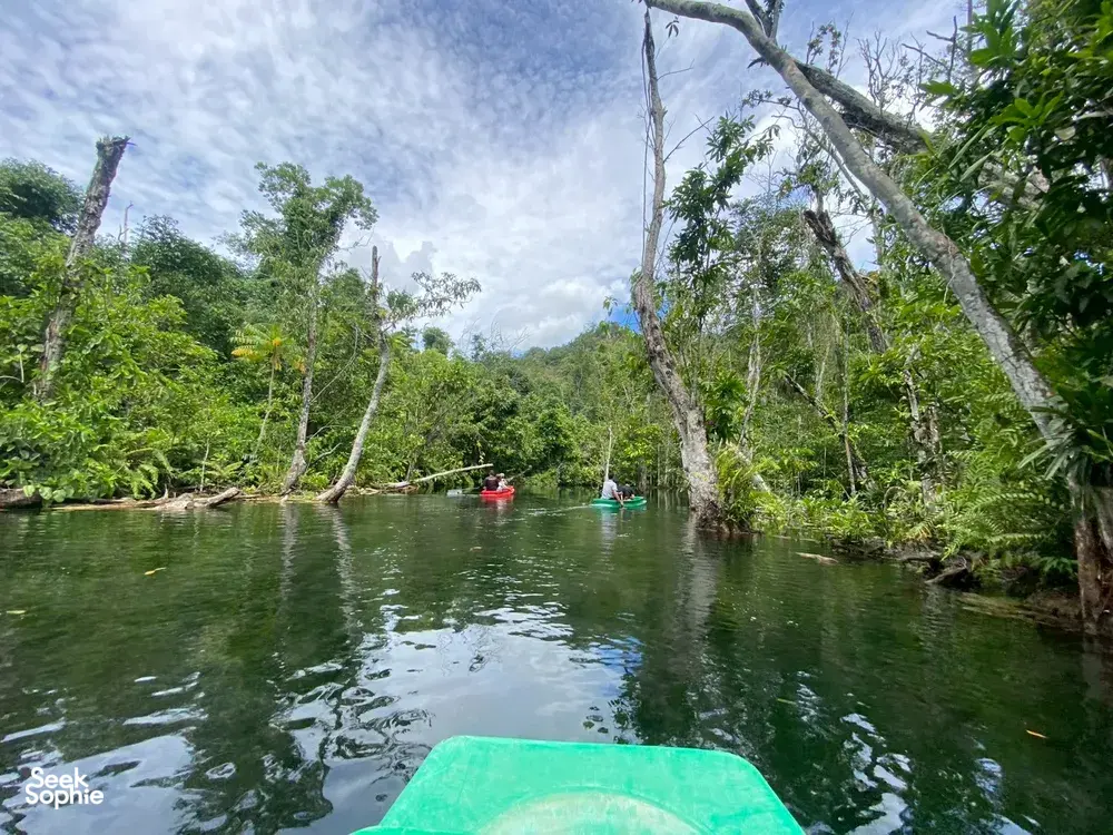 Boat ride across calm green jungle water, with paddlers in distant canoes and rainforest banks at Khao Sok National Park